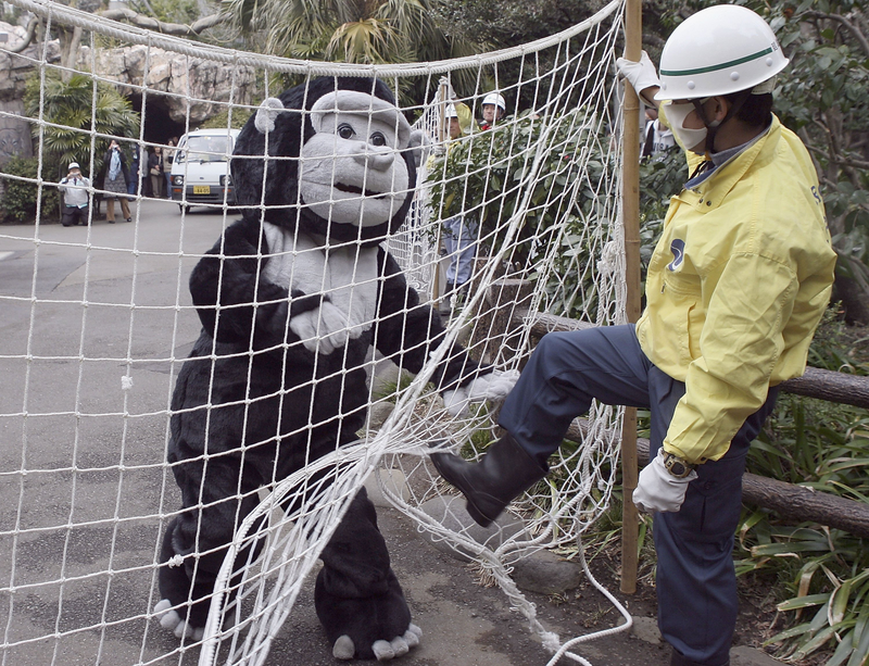 Illustration for article titled The Amazing World Of Zoo Drills, With Humans Dressed As Escaped Animals